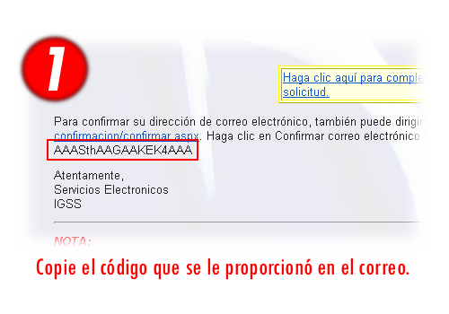 Paso 1: Copie el código que se le proporcionó en el correo