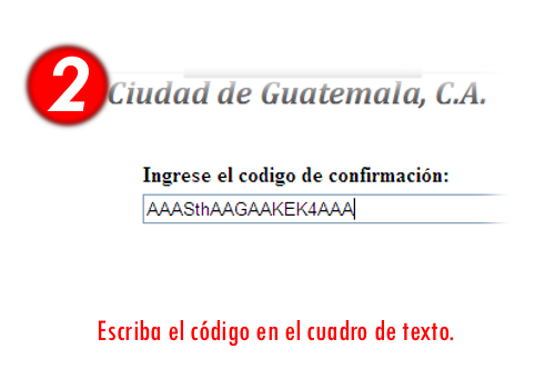 Paso 2: Escriba el código en el cuadro de texto